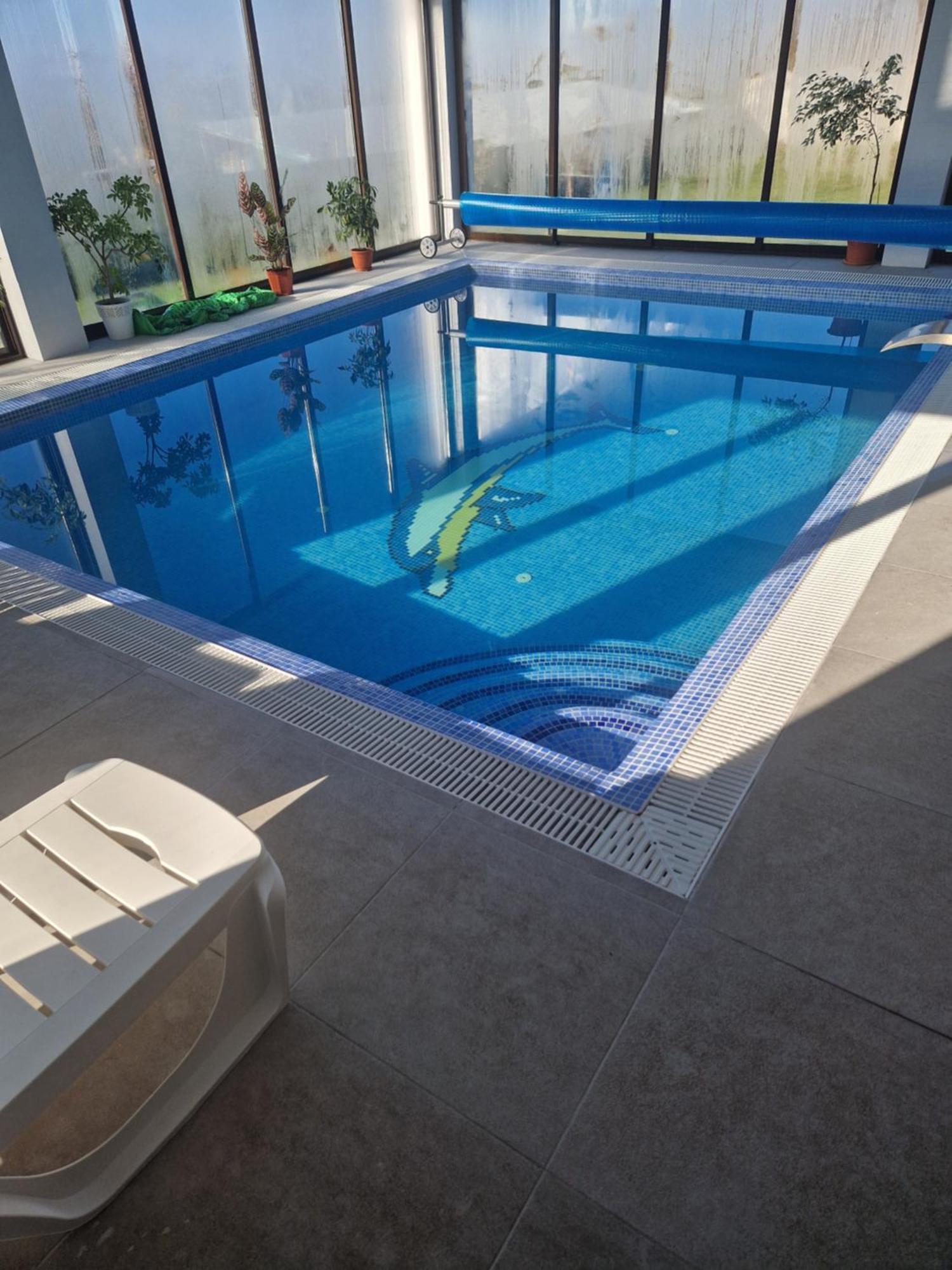 Cabanutele Din Lemn Villa Chiscau Dış mekan fotoğraf